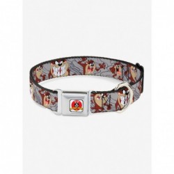 Exclusive Price Looney Tunes Tasmanian Devil Gray Swirl Seatbelt Buckle Dog Collar $10.21 Pet Collars