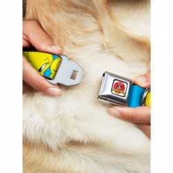 Limited-time Offer Looney Tunes Tweety Bird Close Up Baby Blue Seatbelt Buckle Dog Collar $8.22 Pet Collars