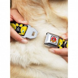 Seasonal Sale Looney Tunes Tweety Bird Crossbones Seatbelt Buckle Dog Collar $9.46 Pet Collars